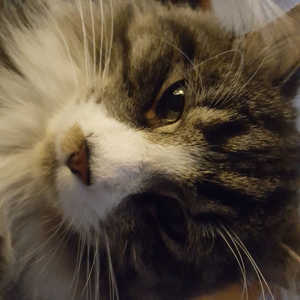 Meet your Posher, Wendy